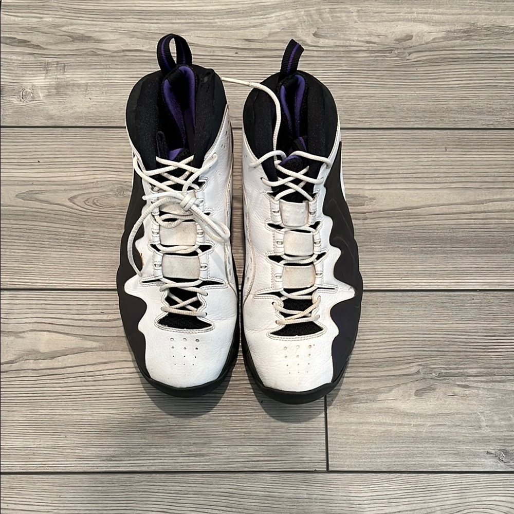 Nike Air Penny 3 EggPlant